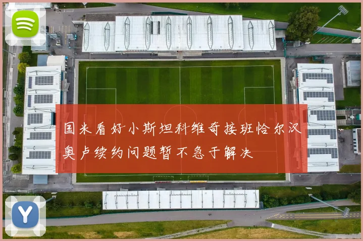 国米看好小斯坦科维奇接班恰尔汉奥卢续约问题暂不急于解决